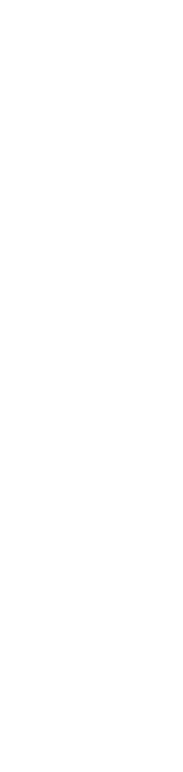 お酒が欠かせない！