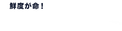 脂がのったブリ餃子