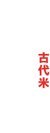 中洲ちまき